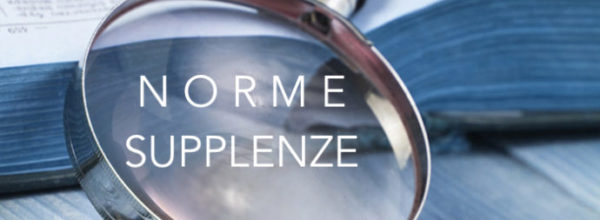 PRESENTAZIONE DOMANDE SUPPLENZE ED ESPRESSIONE PREFERENZE : LA GUIDA DEL MINISTERO