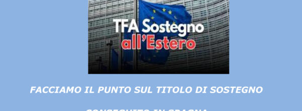 IL TITOLO DI SOSTEGNO CONSEGUITO IN SPAGNA E’ VALIDO ANCHE IN ITALIA: COSA HA DETTO LA CORTE DI GIUSTIZIA EUROPEA- RIVOLGITI PRESSO LA NOSTRA SEDE PER MAGGIORI INFORMAZIONI ED ASSISTENZA